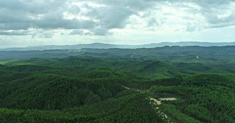 Unsplash/Barkah Wibowo